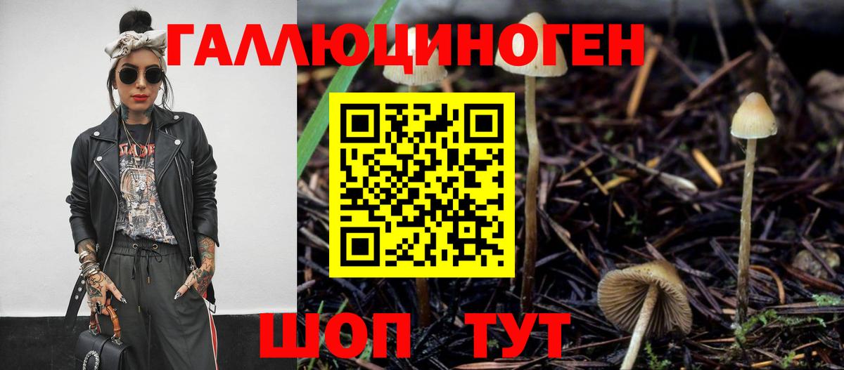 Рыбинск  Псилоцибиновые грибы Cubensis  Вход с VPN  Галлюциногенные грибы GOLDEN TEACHER 